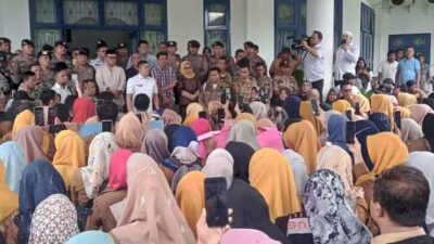 Ini Point Penting Terkait Kisruh Tuntutan PPPK di Madina