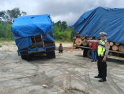 Truk Kayu Dikandangkan Sat Lantas Polres Simalungun Saat Nekat Melintas Parapat