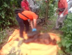 Pensiunan Karyawan BUMN Riau Ditemukan Meninggal Gantung Diri di Kebun Sawit Simalungun