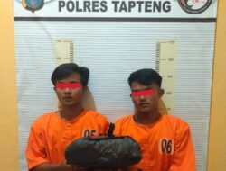 Awal Tahun Polres Tapteng Sikat Ganja Berat 1.7 Kg