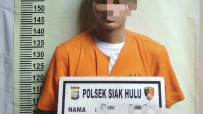 Pemilik Daun Ganja Kering Diringkus Polsek Siak Hulu