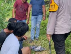 Kapolres Sidimpuan Turun Grebek Lapak Narkoba, 3 Pria Diamankan