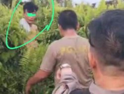 Pelaku Pembunuhan IRT di Bawolato Berhasil Ditangkap, Begini Motifnya