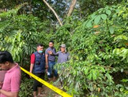 Seorang Nenek Ditemukan Tewas Telungkup di Sawah, Tubuh Luka-luka