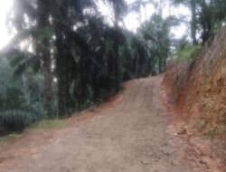 291 Meter JUT di Desa Tumba, Akhirnya di Telford