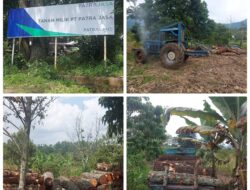 Tak Terima Lahannya Jadi Lokasi Penumpukan Kayu, Hotel PATRA Comfort Akan Portal Jalan Masuk