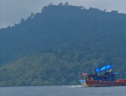 Nelayan Kecil Keluhkan Pukat Trawl Bebas Beroperasi di Laut Sibolga Tapteng