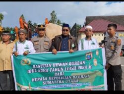 Ketua MUI Madina Ucapkan Terima Kasih Atas Sumbangan 2 Sapi Kurban Kapolda Sumut
