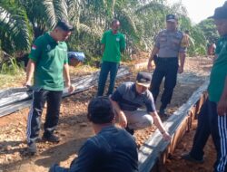 Camat Badiri Tinjau Pembangunan Jalan Usaha Tani di Pagaranhonas
