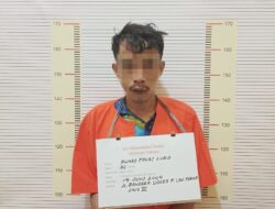 Satnarkoba Polres Tapteng Tangkap AFL dari Kebun Sawit