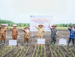 Optimalisasi OPLA, Pemkab Tapteng Bantu Kelompok Tani