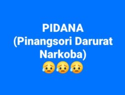 Pinangsori Darurat Narkoba, Benarkah?