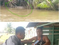 Viral, Warga Rekam Penampakan Buaya di Perairan Jago Jago Tapteng 