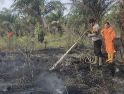 Satgas Karhutla Siak Hulu Berjibaku Padamkan Kebakaran Lahan di Pangkalan Baru