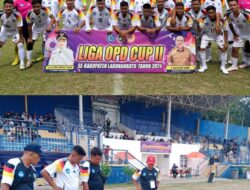 Liga OPD Cup II Labuhanbatu, Tim Dinas Pendidikan Bobol Gawang Dinas Kesehatan 3-1 