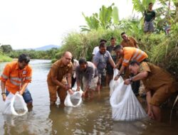 PT Agincourt Resources Tambah 1 Lubuk Larangan di Sungai Garoga