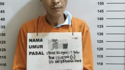 Edarkan Daun Ganja Warga Rantauprapat Diringkus Polisi