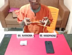 Polres Kampar Bekuk Pengedar Ganja di Bangkinang, Amankan 2,69 Gram Barang Bukti