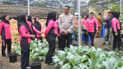 Kapolres Labusel dan Ketua Bhayangkari Launching Program Penguatan P2L : Perkuat Ketahanan Pangan Masyarakat