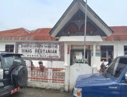 Kelompok Tani di Adiankoting Mengeluh Diduga Adanya Kutipan pada Proyek Jalan Usaha Tani