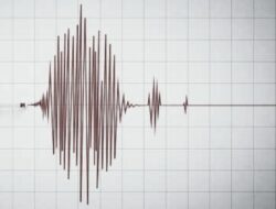 Gempa 5,6 Magnitudo di Taput 1 Orang Meninggal Dunia, Jalan dan Bangunan Rusak