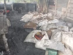 Oknum Kadus di Teluk Sentosa Buka Gudang Penampungan Miko Ilegal