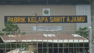 Penuhi Target Produksi CPO, PKS PTPN IV Aja Buka Penerimaan TBS Luar
