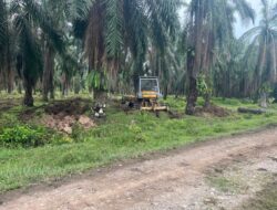 Proyek TU PTPN IV Reg II Kebun Ajamu Sesuai SOP
