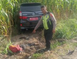 Tiga Nyawa Melayang Satu Kritis di Sipanganbolon, Korban Laka Mobil Dinas UPT Samsat Humbahas