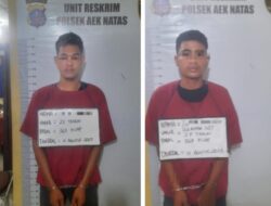 Curi 4 Ekor Sapi, 2 Pemuda Diringkus Polsek Aek Natas