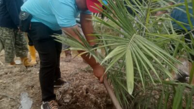 Tanam Perdana TU 2025 Kebun Ajamu, Askep: Kita Tanam dengan Akhlak